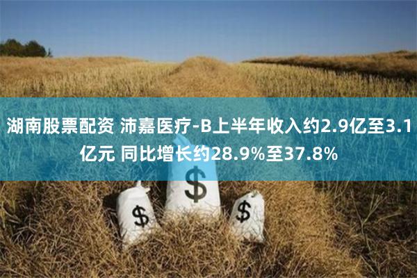 湖南股票配资 沛嘉医疗-B上半年收入约2.9亿至3.1亿元 同比增长约28.9%至37.8%