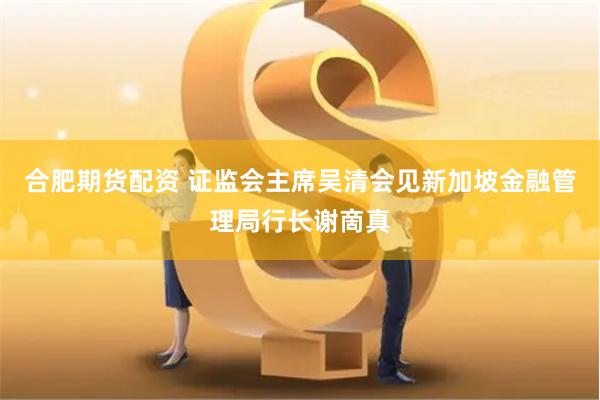 合肥期货配资 证监会主席吴清会见新加坡金融管理局行长谢啇真