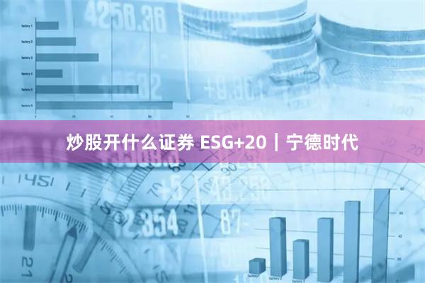 炒股开什么证券 ESG+20｜宁德时代