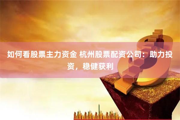 如何看股票主力资金 杭州股票配资公司：助力投资，稳健获利